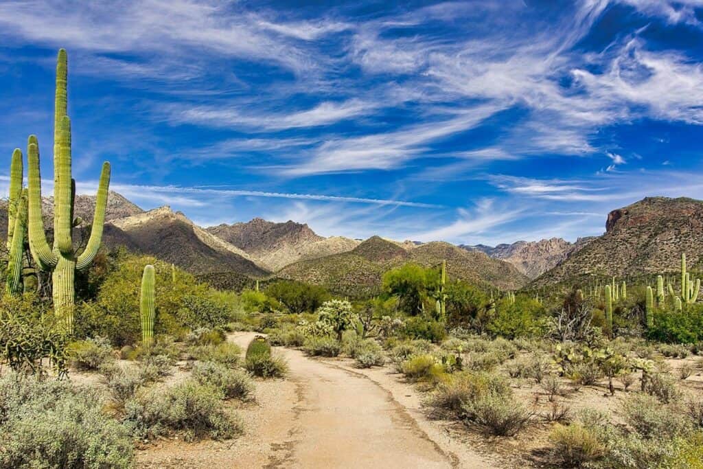 Tucson, Arizona landscape representing burial and cremation planning